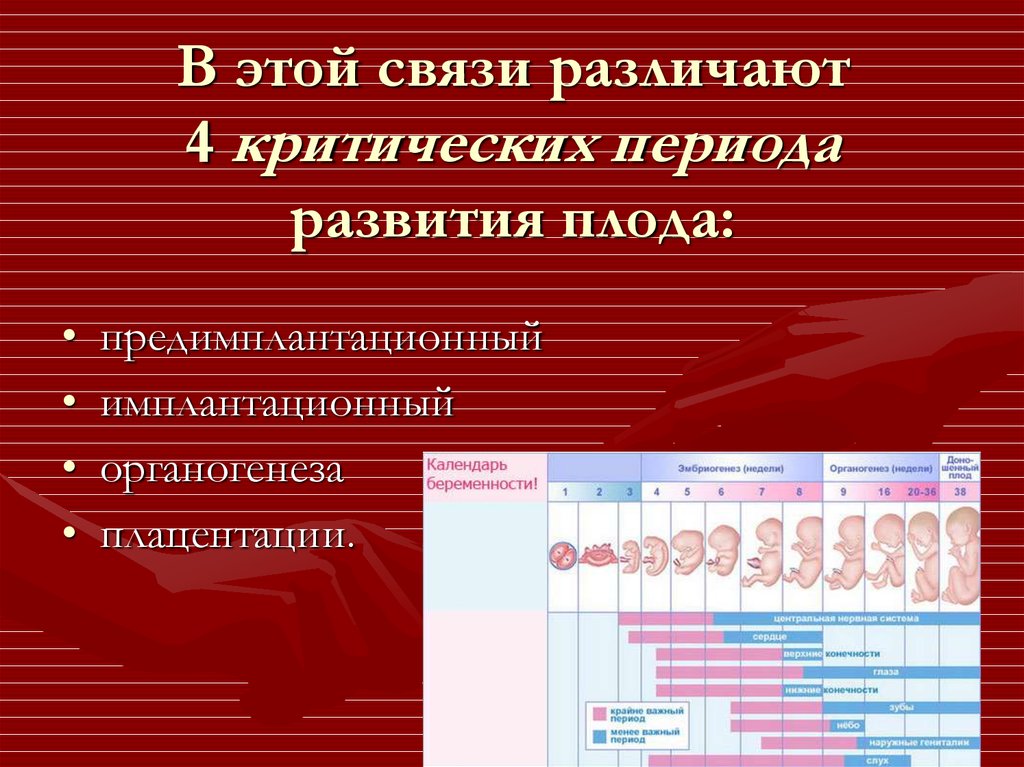 Беременность периоды. Критические периоды развития эмбриона и плода Акушерство. Критические периоды развития плода таблица. Критические периоды развития эмбриона таблица. Таблица критические периоды внутриутробного развития плода».