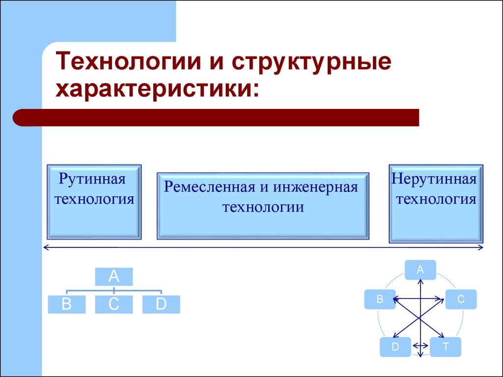 Структурная характеристика