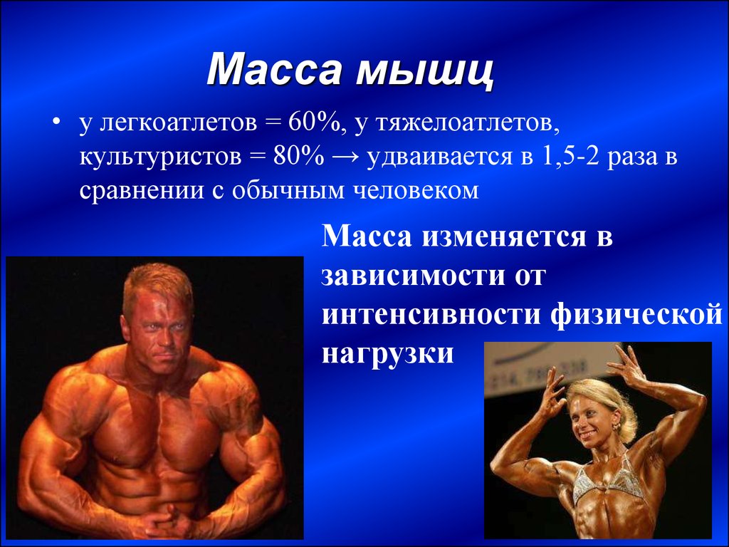 Какое количество мышц у человека. Вес мышечной массы. Масса мышц человека. Масса человека в мышах. Мускулатура спортсменов.