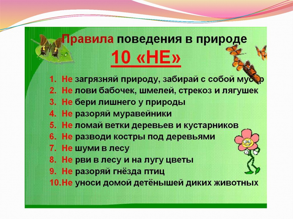 8 сочинений на тему «Берегите природу!» для 1-6 класса