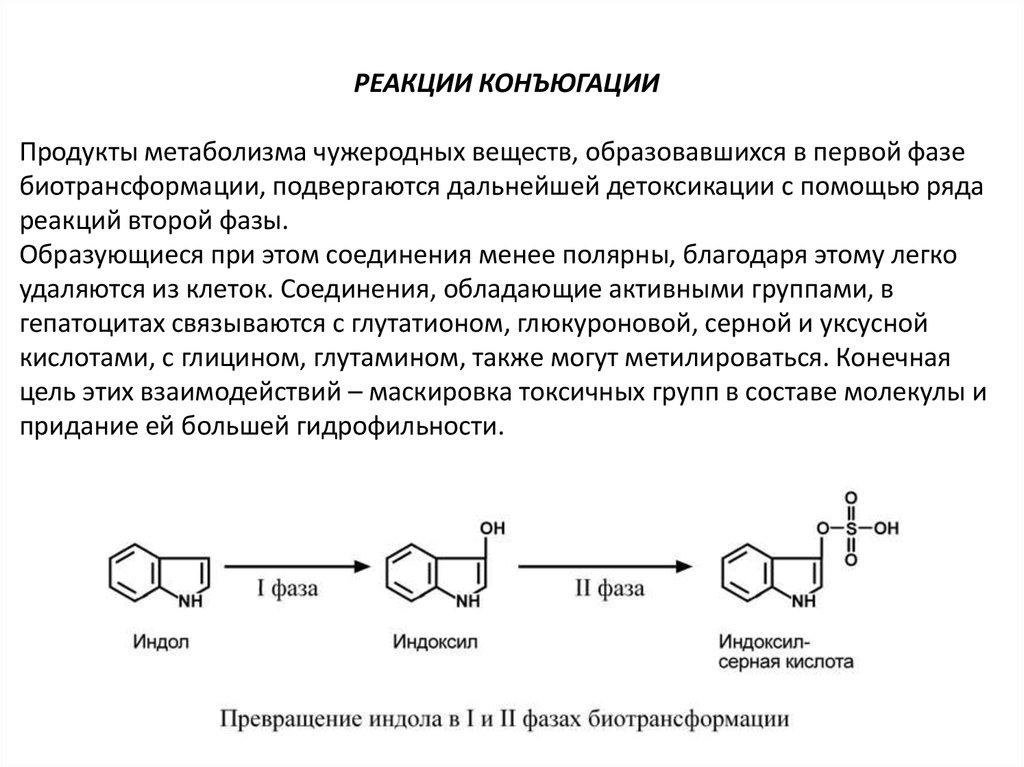 Вторая фаза детоксикации. Фазы детоксикации печени биохимия. Индукторы первой фазы детоксикации. Детоксикация веществ в печени биохимия. Реакциям II фазы биотрансформации?.