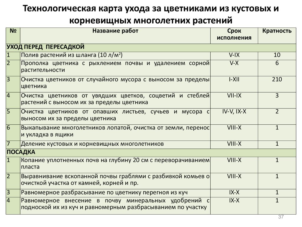 План агротехнических мероприятий в лесном питомнике образец