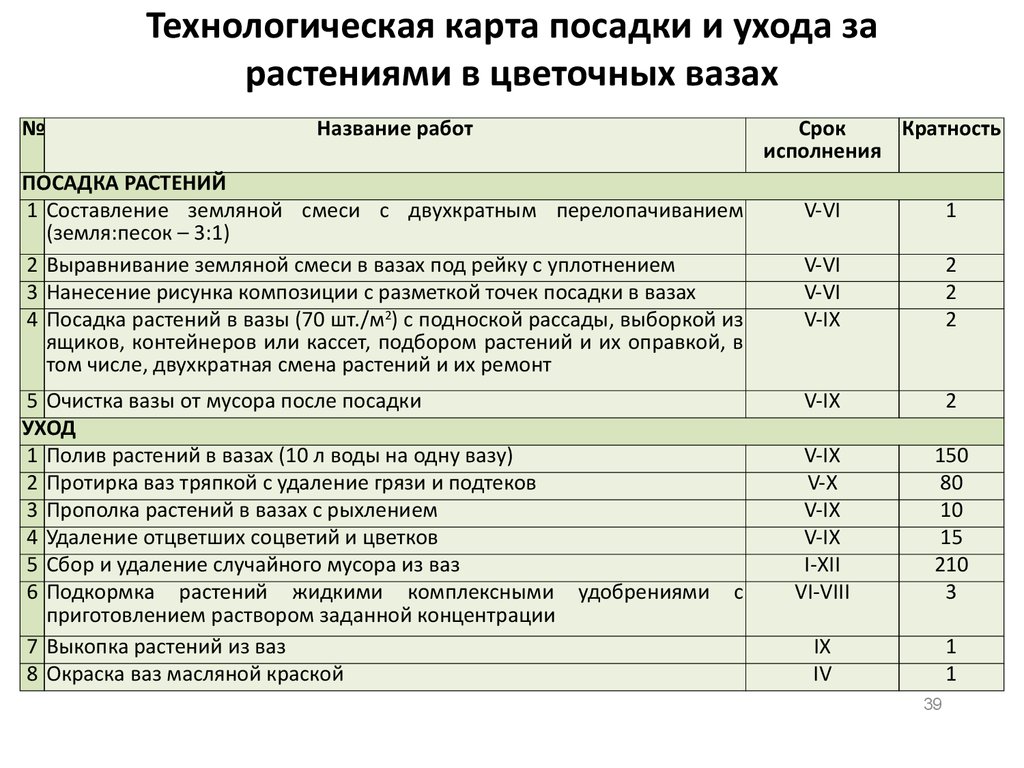 Технологическая карта посадки и ухода за растениями в цветочных вазах