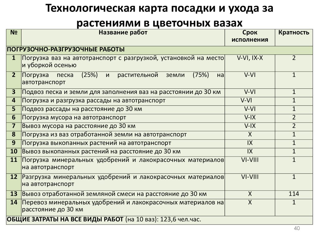 Технологическая карта посадки и ухода за растениями в цветочных вазах