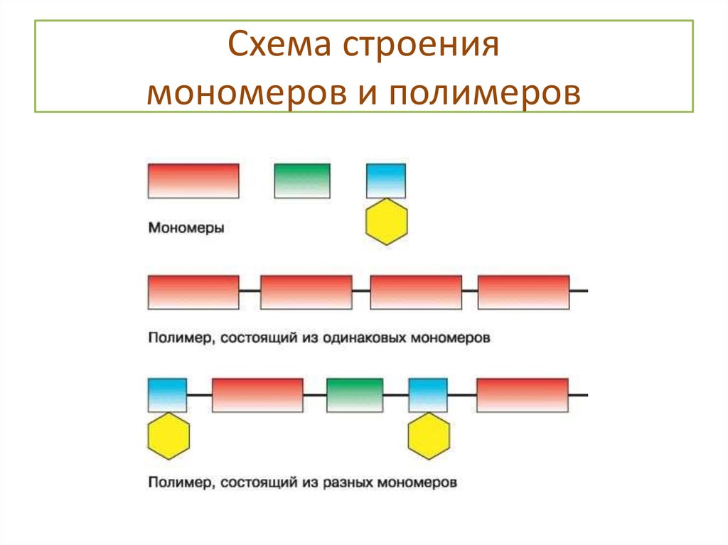 Структура полимеров схема