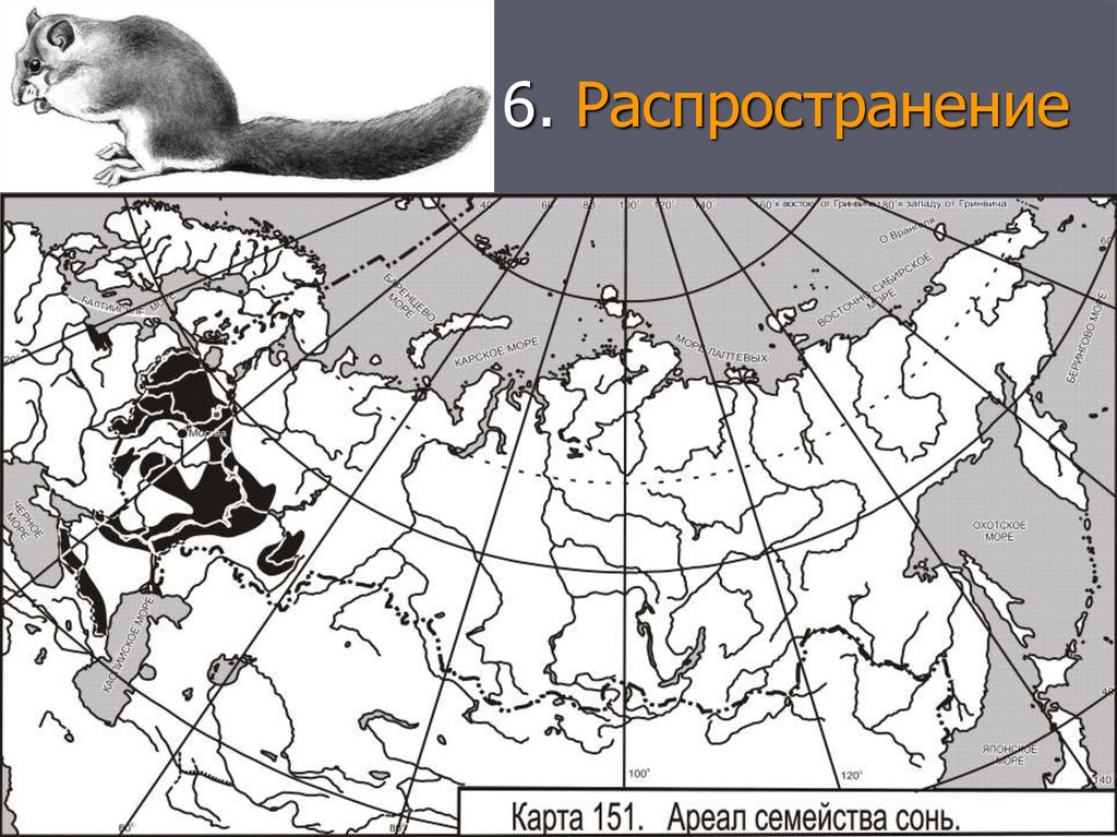 Ареалы высокой и низкой плотности