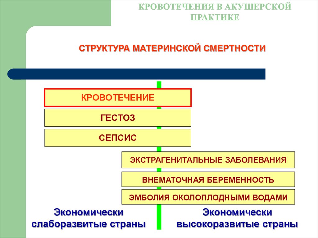 Структура практики