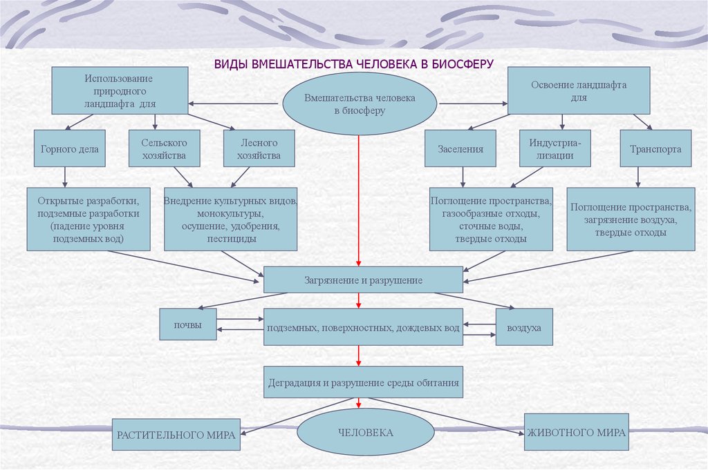 Схема взаимодействие природы и человека