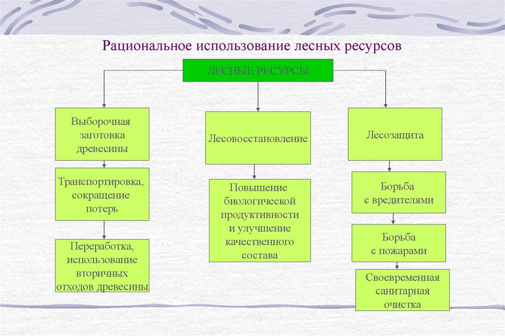 Природные меры. Рациональное использование лесных ресурсов. Проблемы рационального использования лесных ресурсов. Рациональное использование лесов. Рациональное использование ресурсов леса.