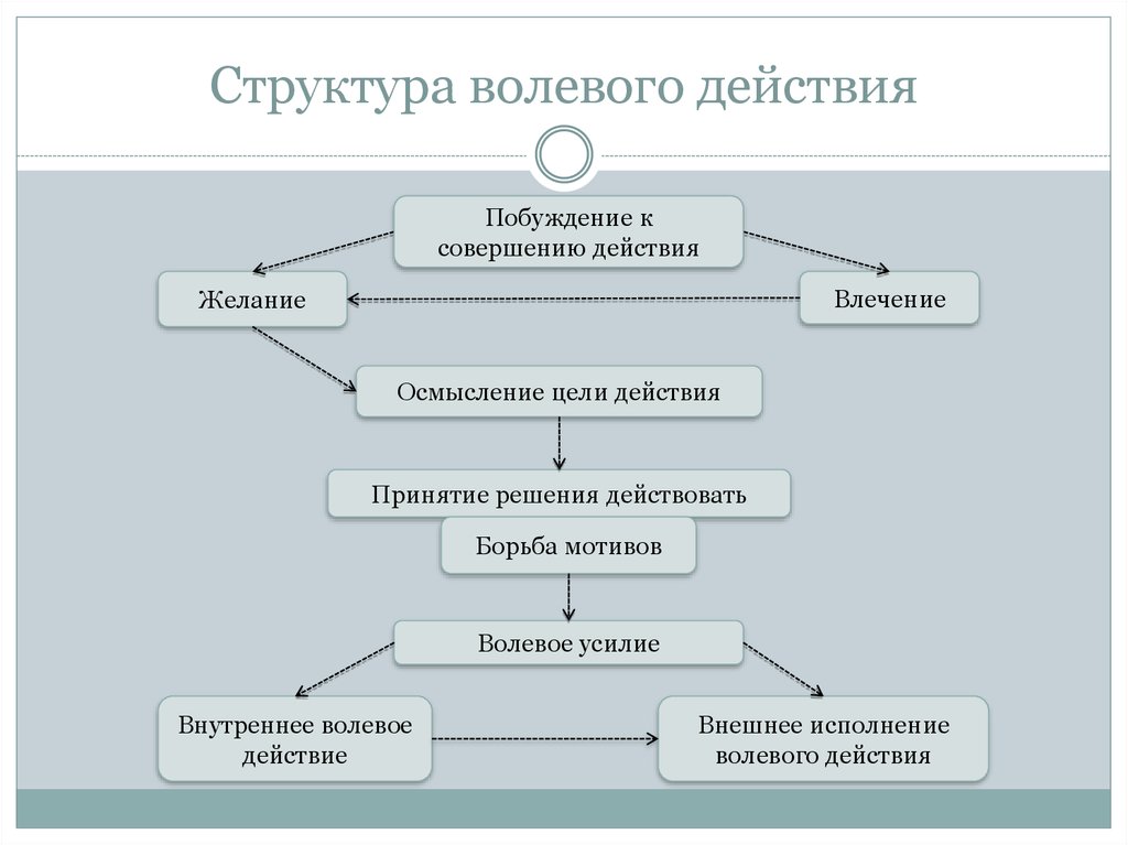 Структурные этапы деятельности