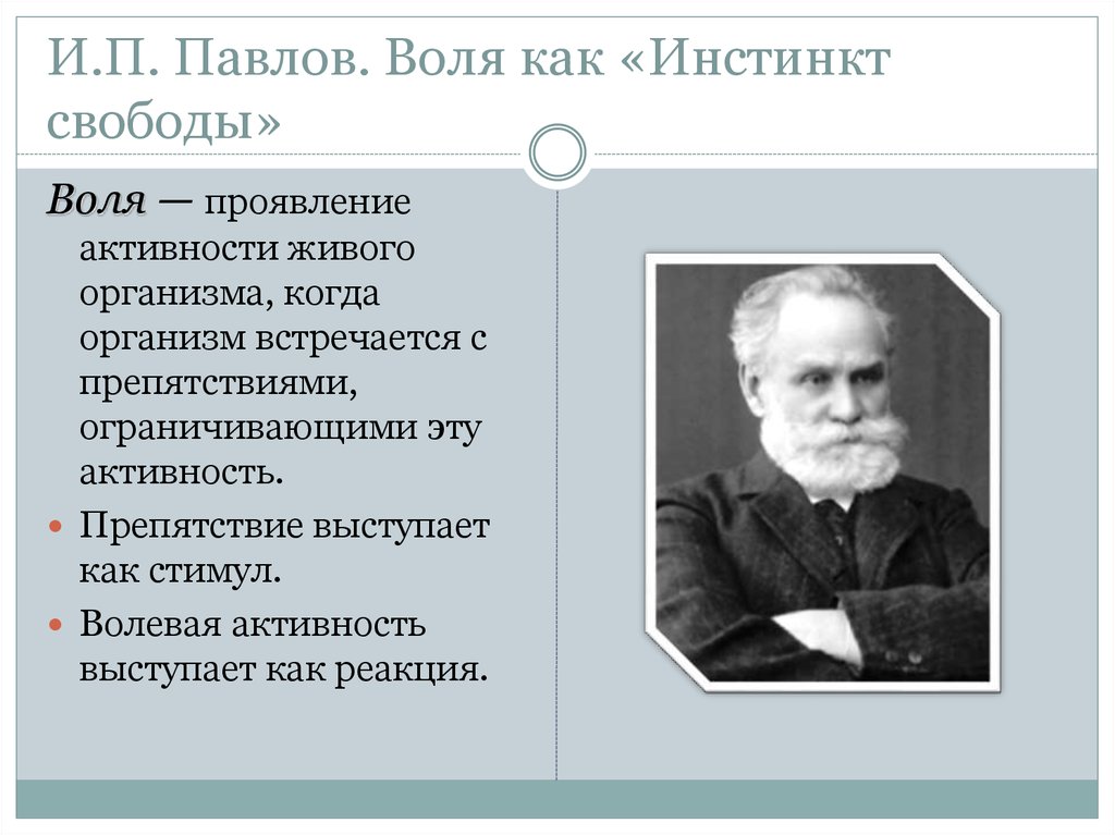 Учение воля. Теория Воля Павлов. Теория воли и. п. Павлова. Инстинкты по Павлову. Павлов инстинкт свободы.