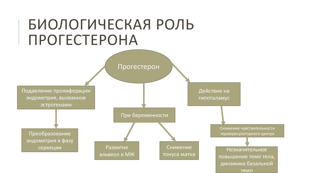 Значение гормона прогестерон. Прогестерон биологическая роль. биологические функции прогестерона. прогестерон функции. биологические эффекты прогестерона.
