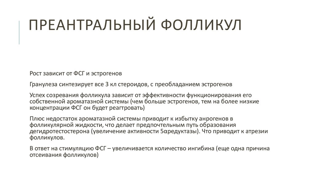 Преантральный фолликул