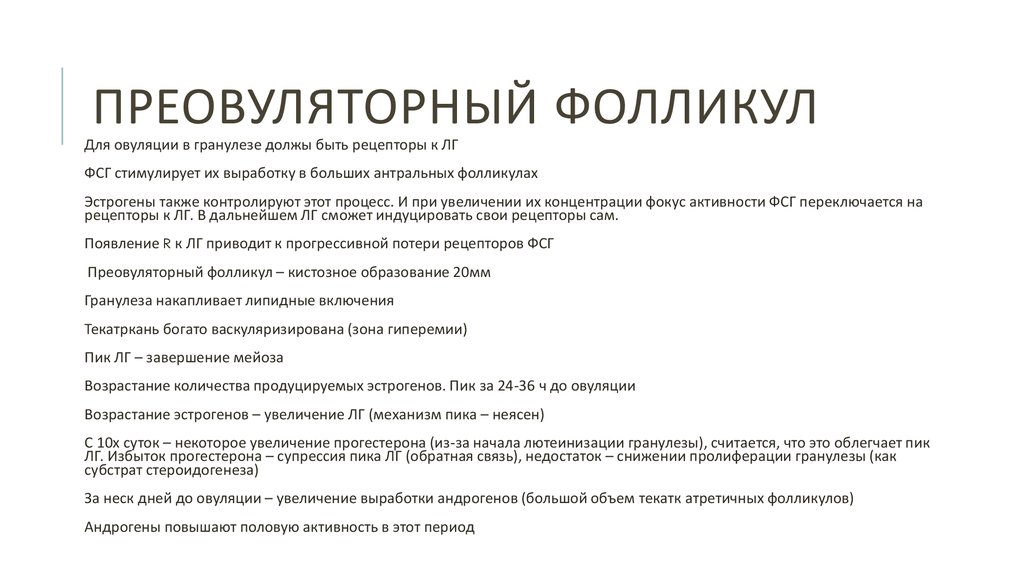 Преовуляторный фолликул