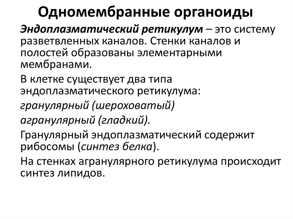 Наличие разветвленной системы законов. Одномембранные органоиды клетки. Образуют сеть разветвленных каналов и полостей. Гранулярный ретикулум.