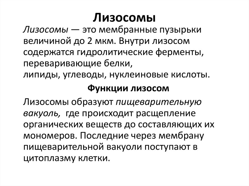 В лизосомах происходят реакции. Лизосомы функции кратко. Основная функция лизосом. Особенности строения лизосомы кратко. Основные функции лизосом.