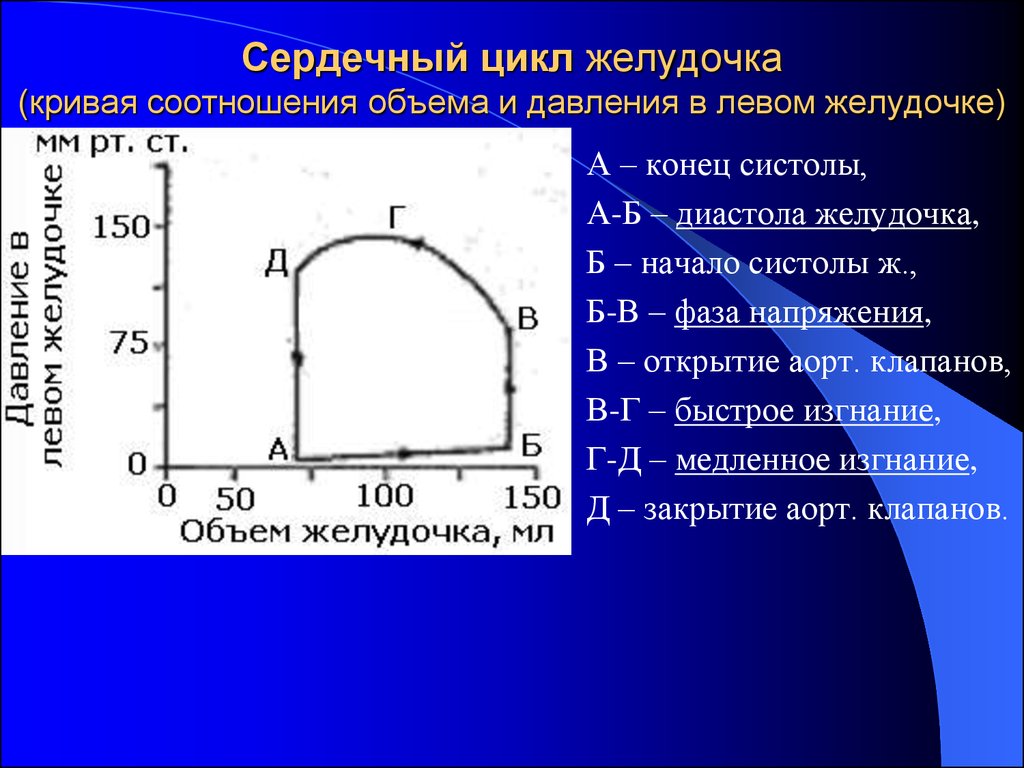 Диаграмма изменения давления и объема крови в желудочках сердца во время сердечного цикла