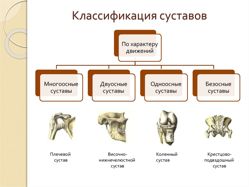 Соединение кости классификация. Соединение костей строение сустава классификация суставов. Классификация суставов (по форме, по функции). Классификация суставов по форме по строению анатомия. Классификация суставов по форме суставных поверхностей и функции.