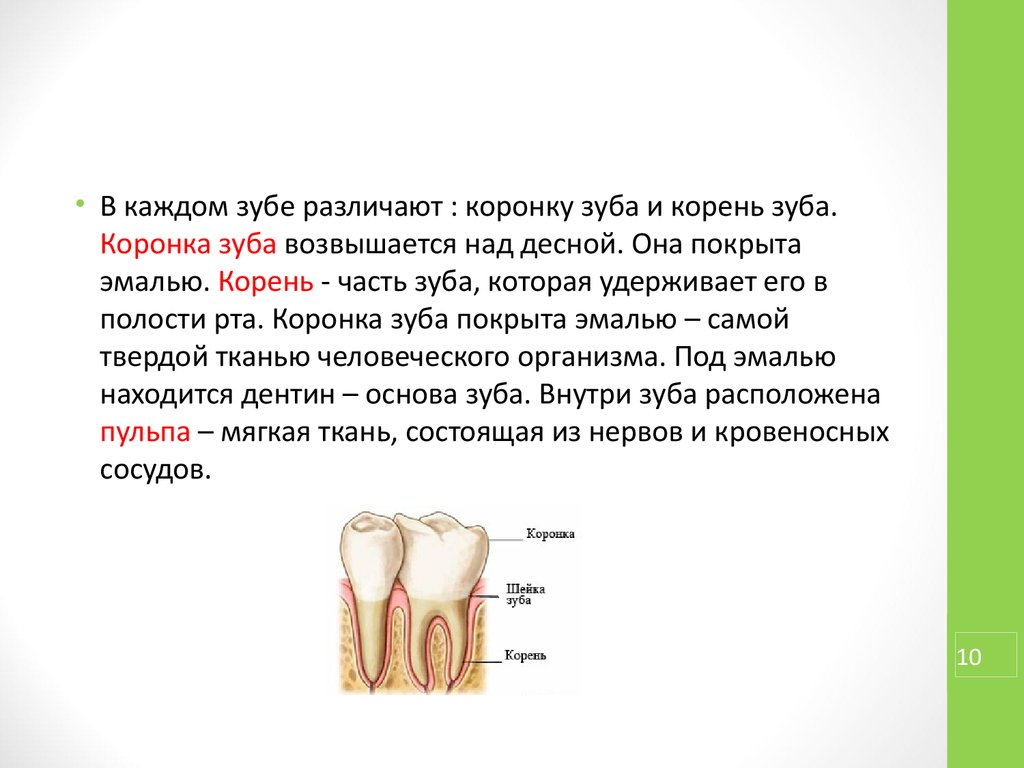 Помогает ли зубная