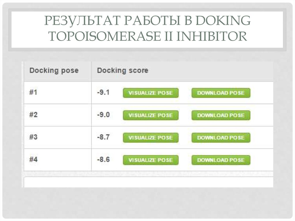 Результат работы в Doking Topoisomerase II inhibitor