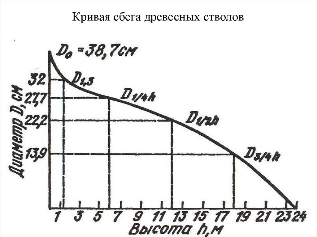 Кривая сбега древесных стволов