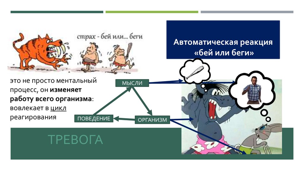 Реакция замри психология. Как видят люди с аутизмом. Реакция тела на стресс. Реакция замри психология. Замри стресс.