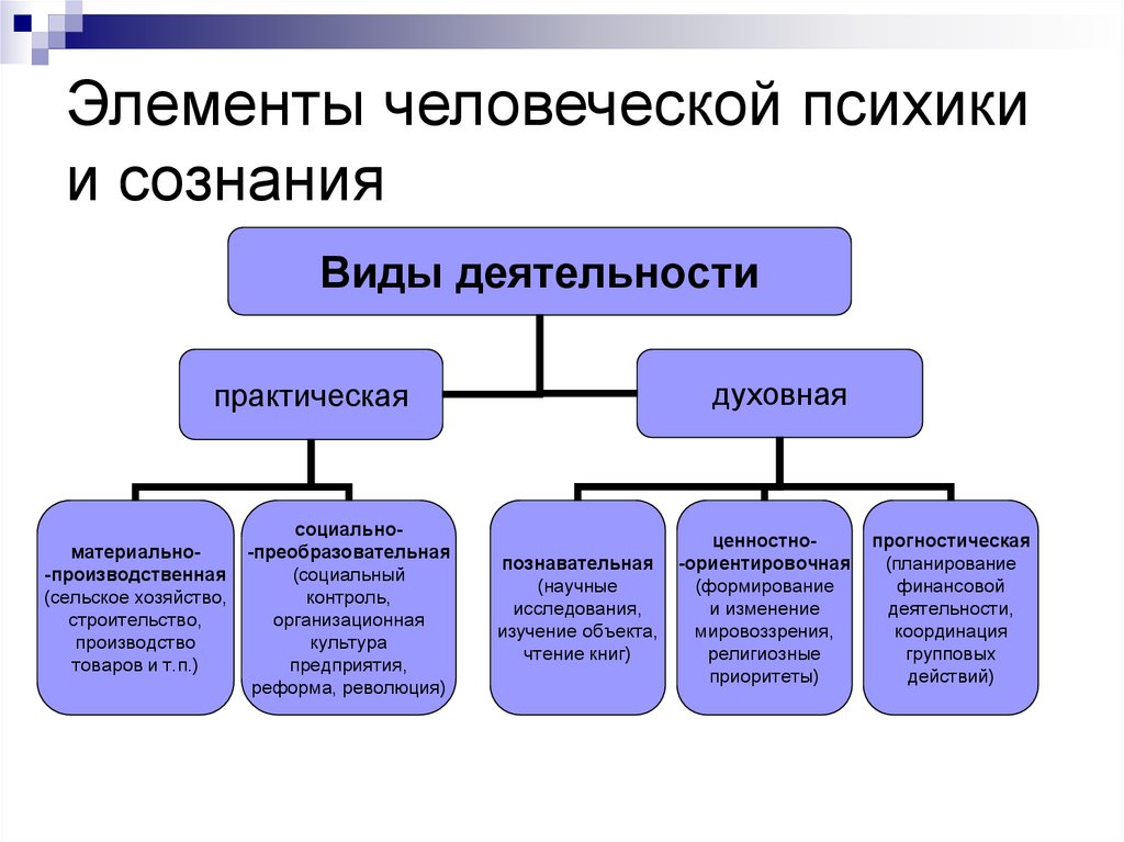 Особенности психики человека 8 класс презентация