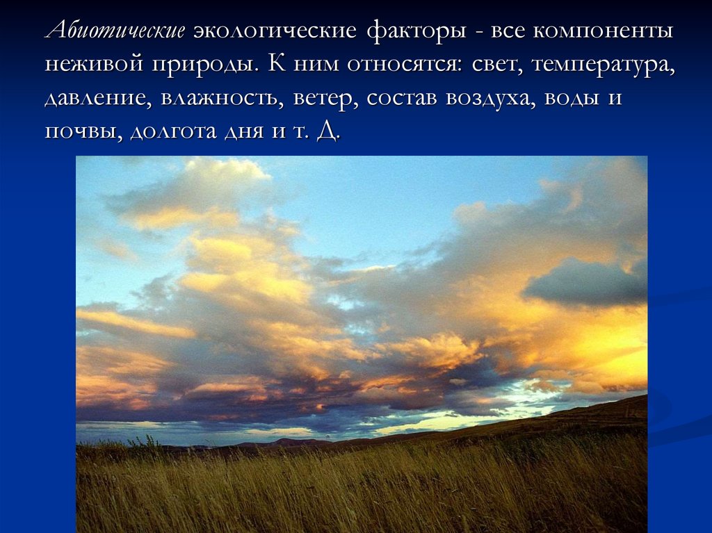 Какими ресурсами являются свет ветер. Абиотические факторы. К абиотическим факторам относятся. Абиотические факторы свет. Абиотические факторы ветер.