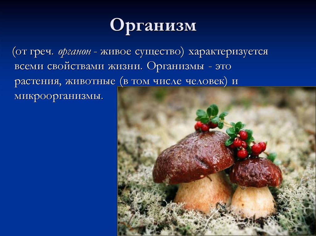 Живые существа организмы окружающий. Организм определение. Живой организм это определение. Органинизмы определение. Организм определение биология.