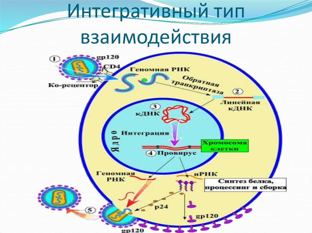 Интегративный