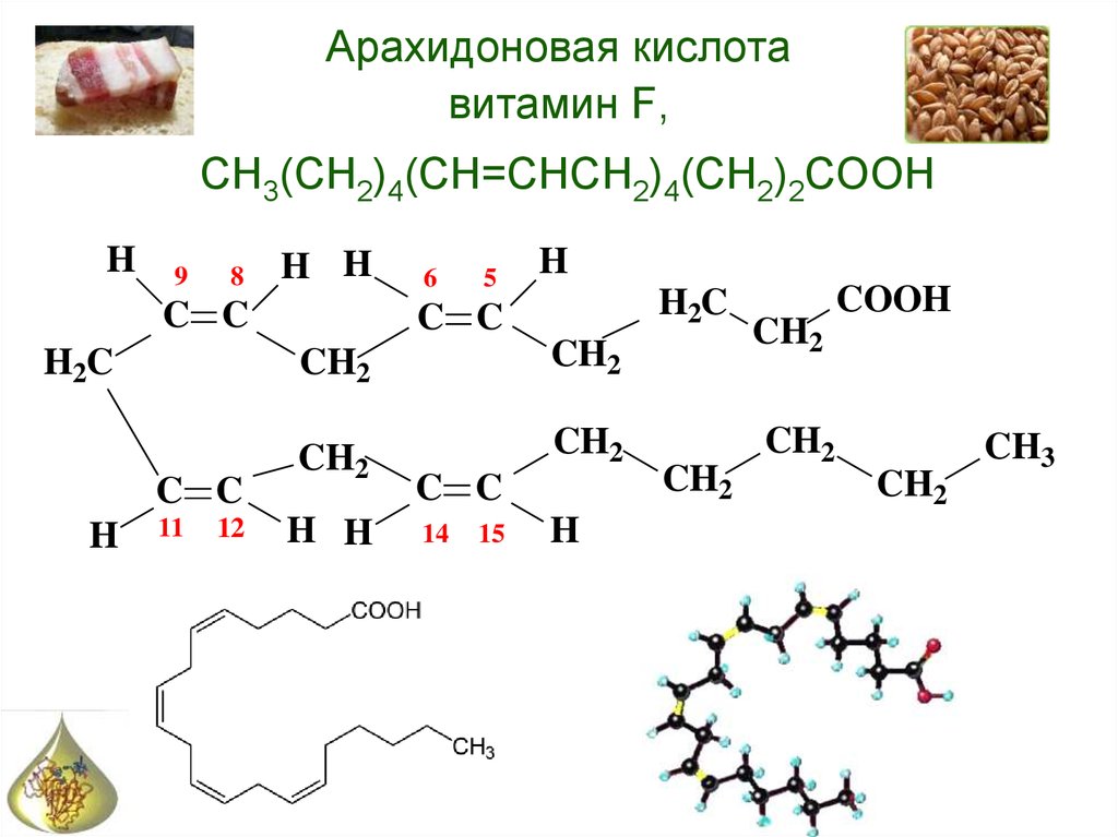 Арахидоновая кислота витамин F, CH3(CH2)4(CH=CHCH2)4(CH2)2COOH
