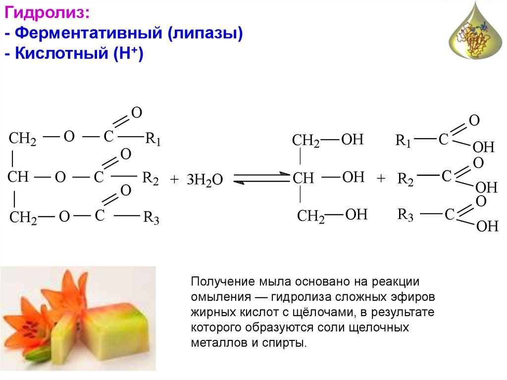 Кислый гидролиз жиров. Реакция получения мыла формула. Кислотный и ферментативный гидролиз жиров. Уравнение химических реакций у мыла. Реакция омыление (гидролиз) сложных эфиров.