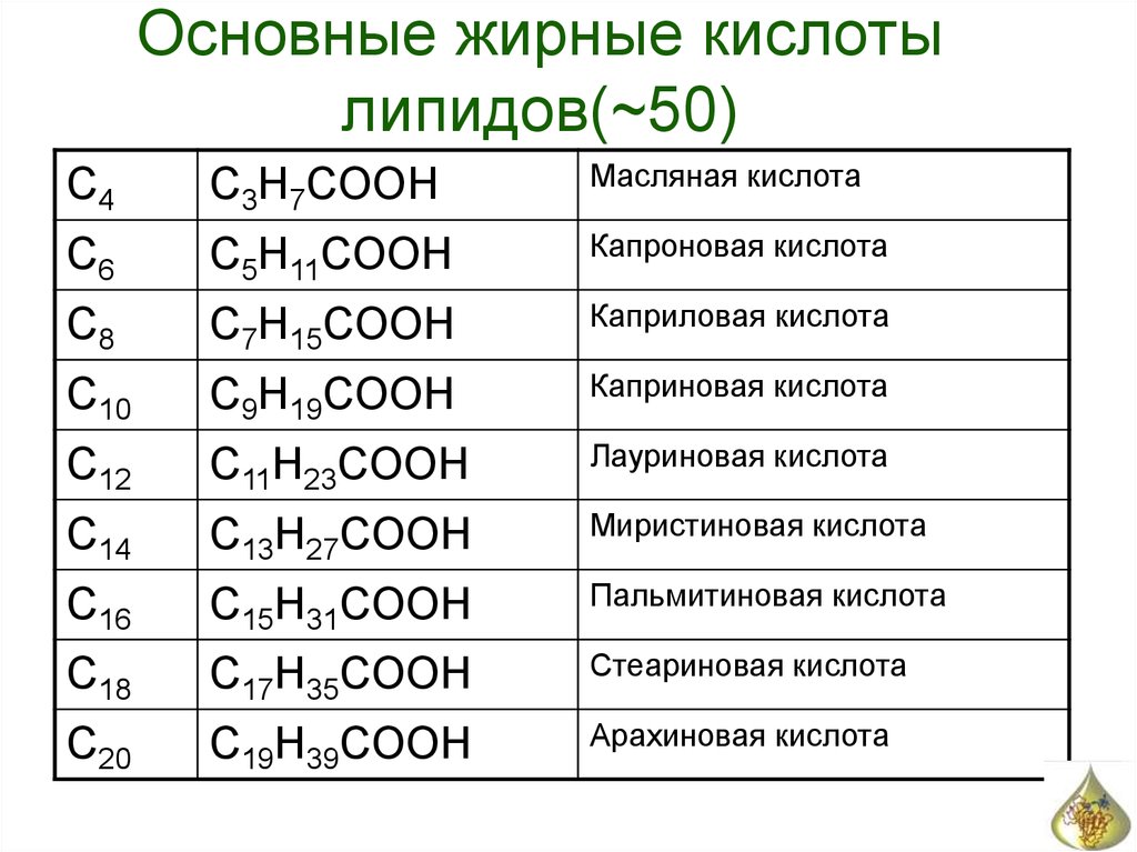 Основные жирные кислоты липидов(~50)