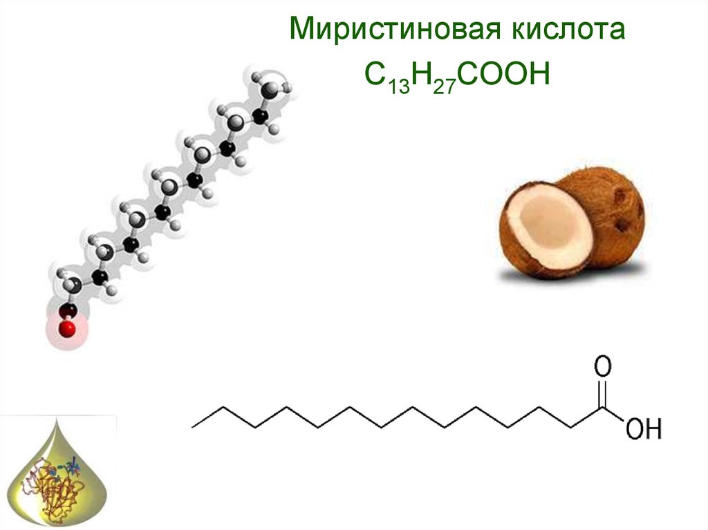 Презентация на тему пальмитиновая кислота