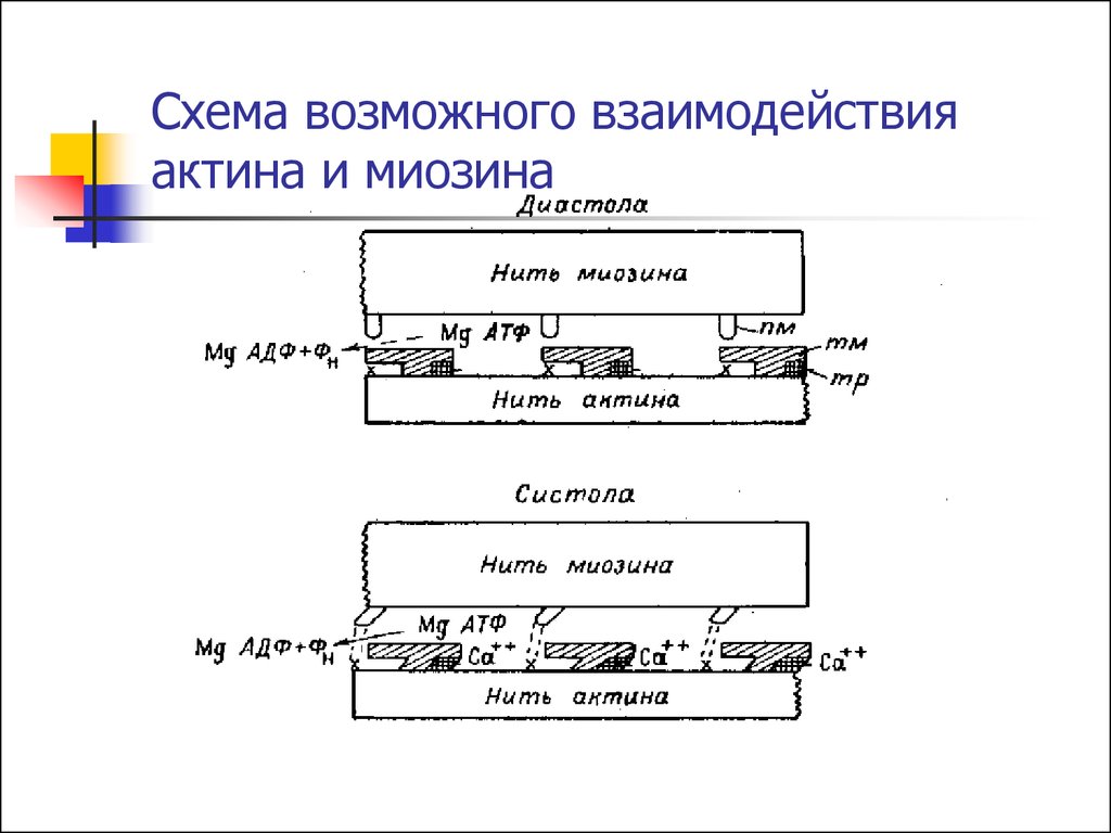 Возможные схемы