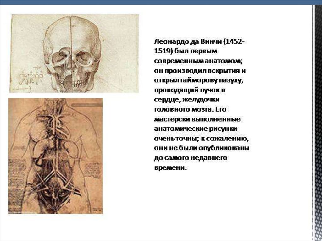 Итальянский художник чьи картины и анатомические рисунки внесли вклад в развитие медицины это