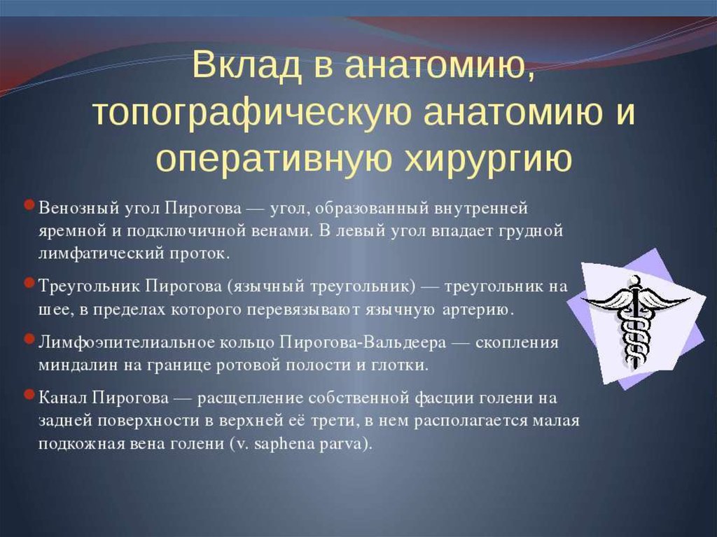 Пирогов в сосудистой хирургии