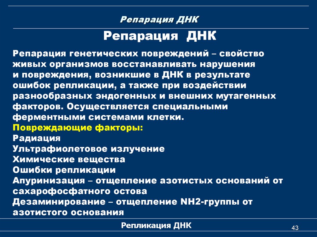 Репарация. Репарационные механизмы ДНК. Механизмы восстановления повреждений ДНК. Репарация генетических повреждений. Повреждение и репарация ДНК.