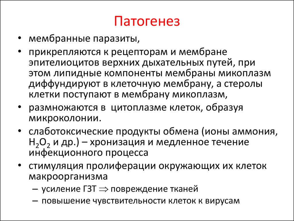 Микоплазма кашель