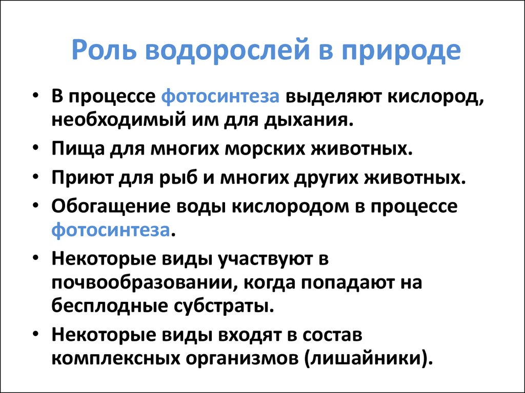 Роль водорослей в природе и жизни человека