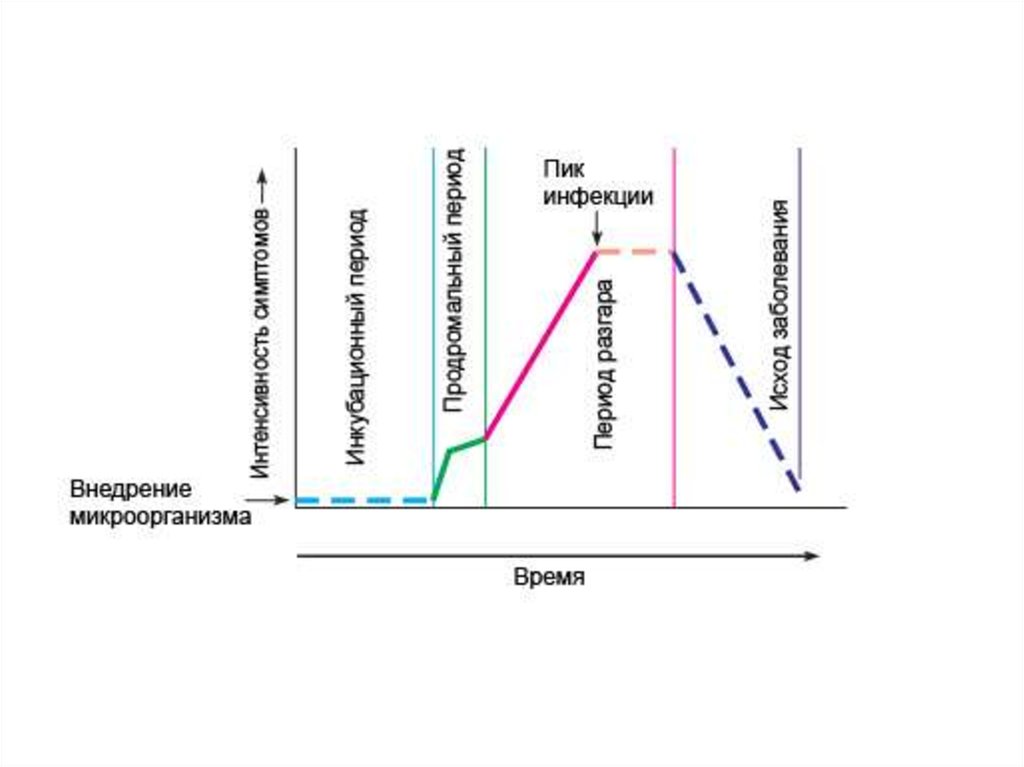 Периоды острых инфекционных заболеваний. Периоды течения инфекционной болезни микробиология. Периоды развития инфекционных заболеваний схема. Периоды инфекционного заболевания схема. Периоды течения инфекционного процесса.