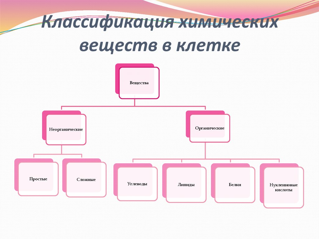 Организация вещества клетки. Классификация химических веществ. Классификация органических и неорганических веществ. Классификация органических веществ клетки.