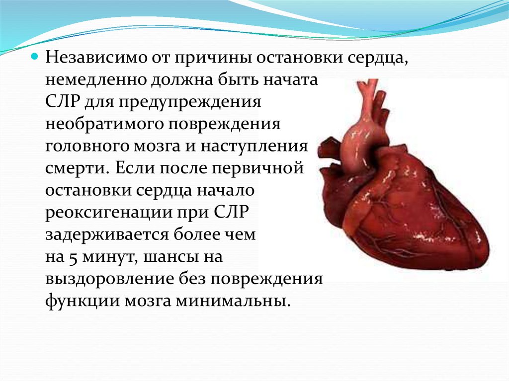 Может ли остановиться сердце. Причины остановки сердца. Кардиальные причины остановки сердца. Почему останавливается сердце. Повторная остановка сердца.