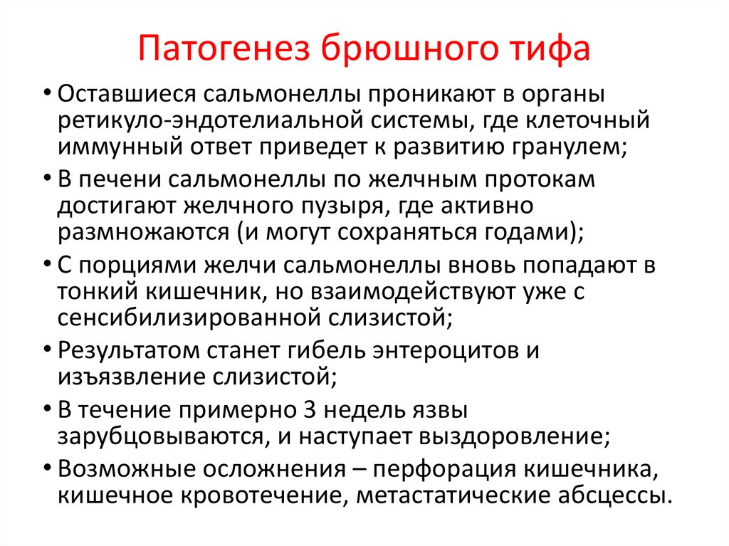 Сальмонеллез и брюшной тиф. Патогенез брюшного тифа. Брюшной тиф патогенез схема. Патогенез брюшного тифа и паратифов. Сальмонелла Тифи патогенез.