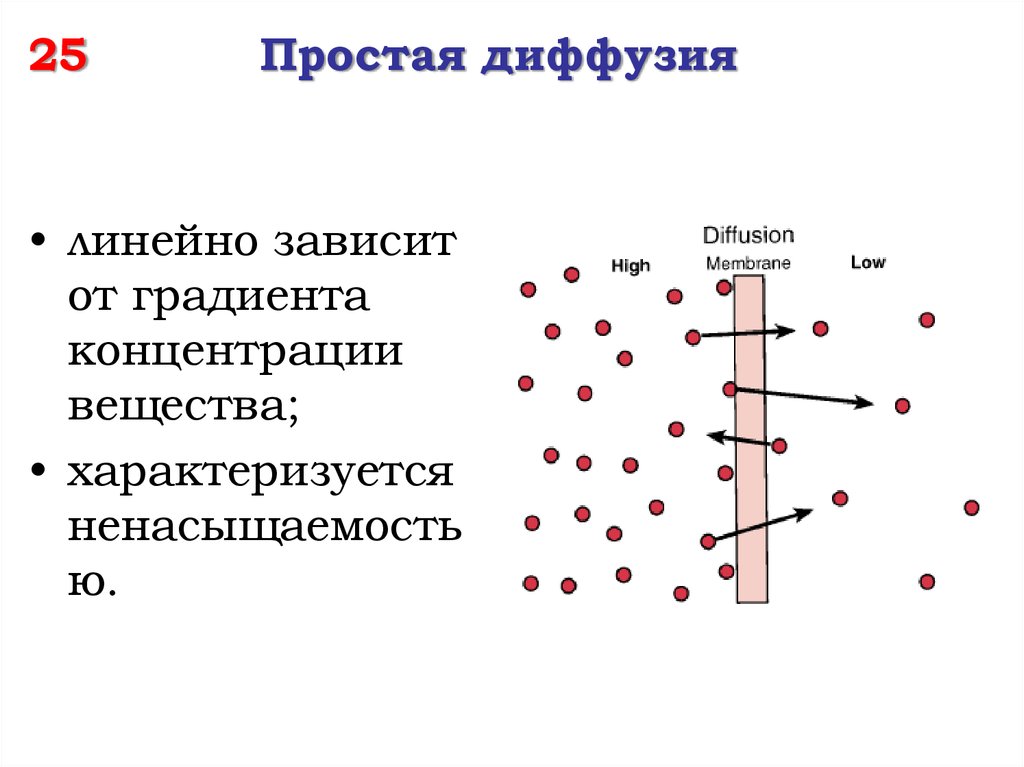 Физическая диффузия. Диффузия по градиенту концентрации. Простая диффузия. Градиент концентрации. Простая диффузия через мембрану.