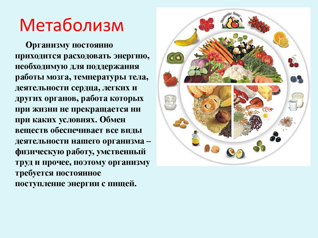 Изменение обмена веществ. Обмен веществ в организме. Обмен веществ метаболизм. ОБМГ веществ в организме человека. Что такое метаболизм в организме человека.