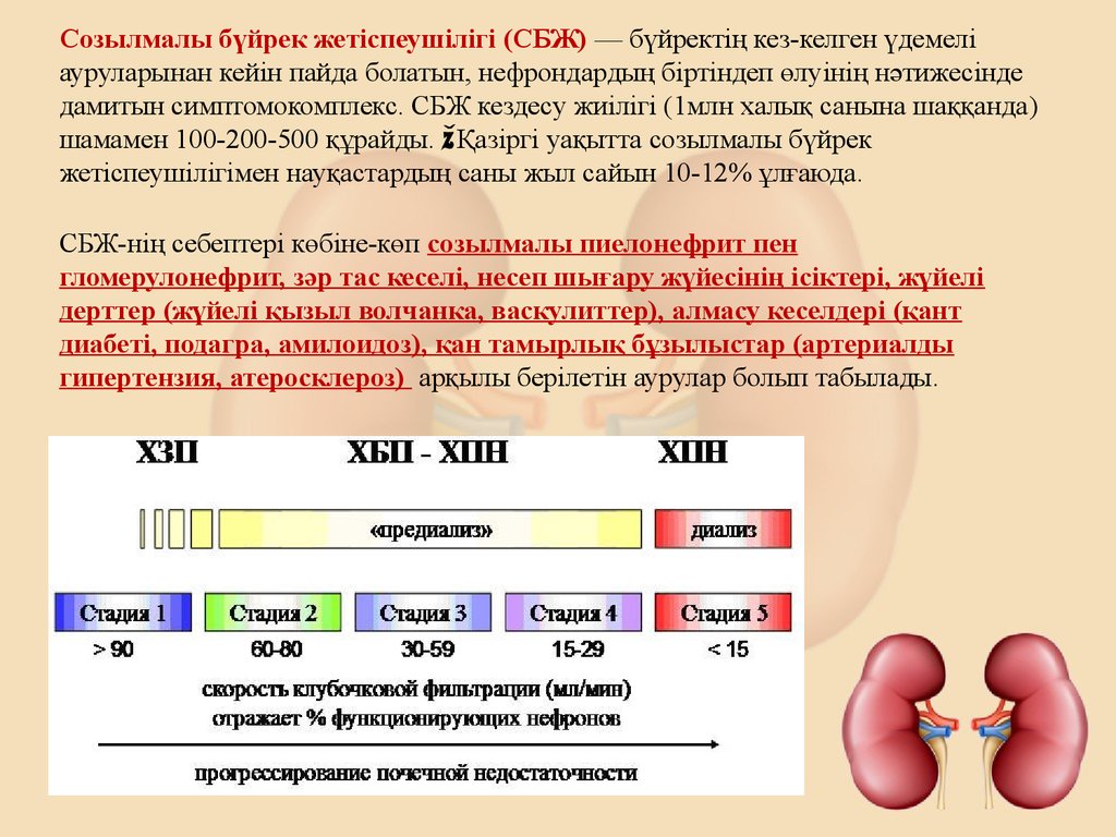 Созылмалы жүрек жетіспеушілігі презентация