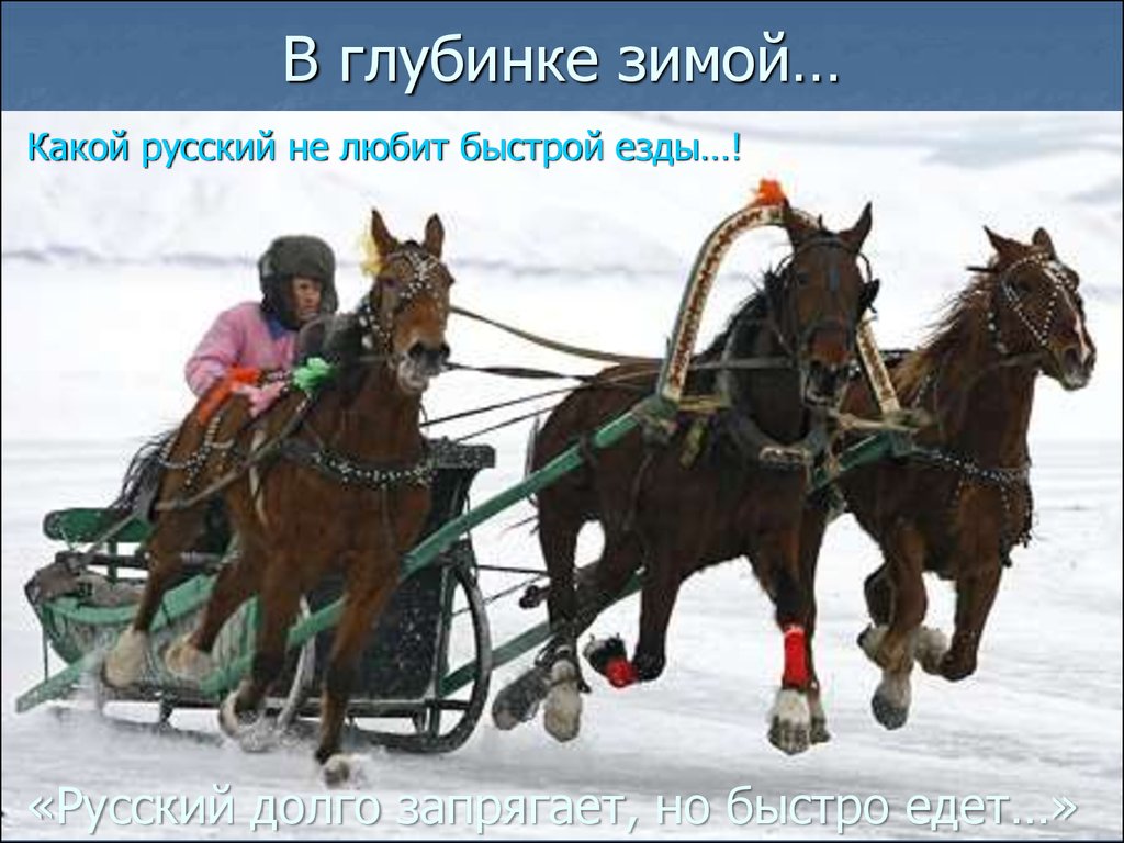 Пословица русский медленно запрягает да быстро едет. Тройка лошадей. Тройка лошадей с санями. Конные бега. Пони в санях.