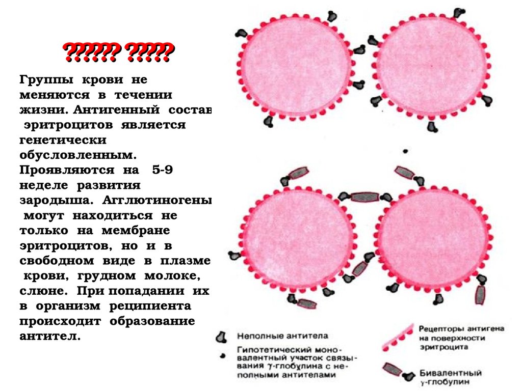 Жизни группа крови изменялась