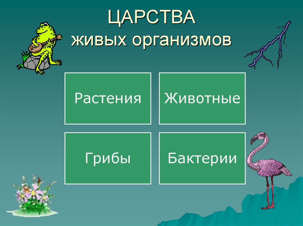 Какие вы знаете организмы. Царсиваживых организмов. Царства живыхогранизмов. Царства живых организмов биология. 4 Царства живых организмов.